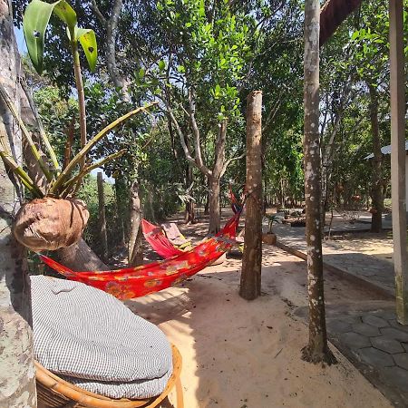La Maison Des Bambous Siem Reap Eksteriør billede
