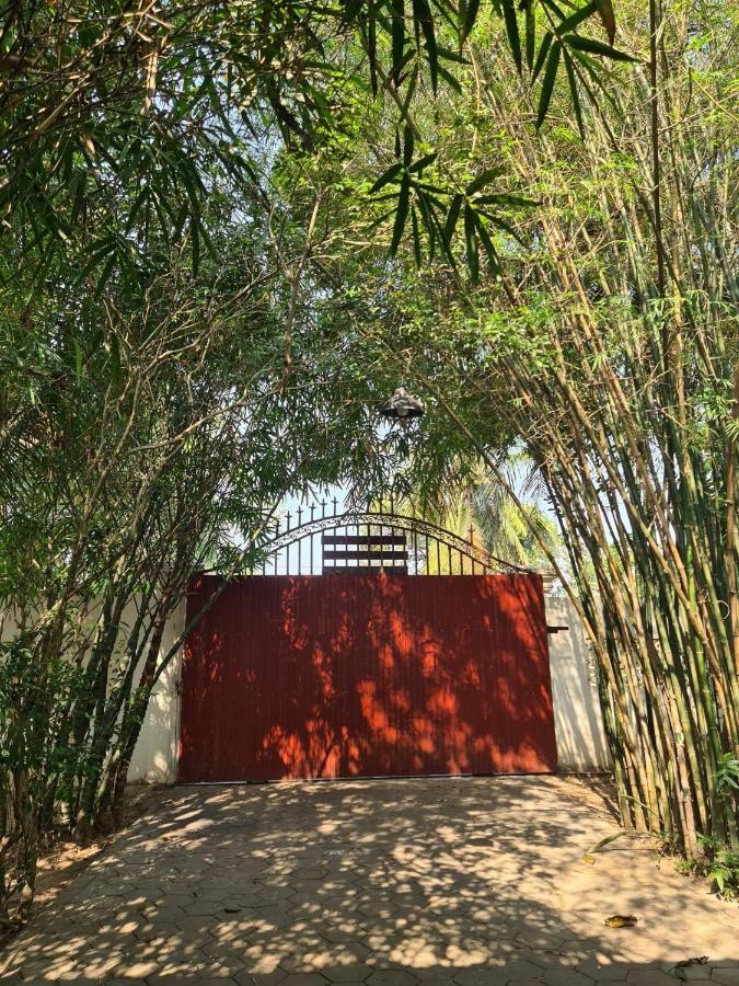 La Maison Des Bambous Siem Reap Eksteriør billede