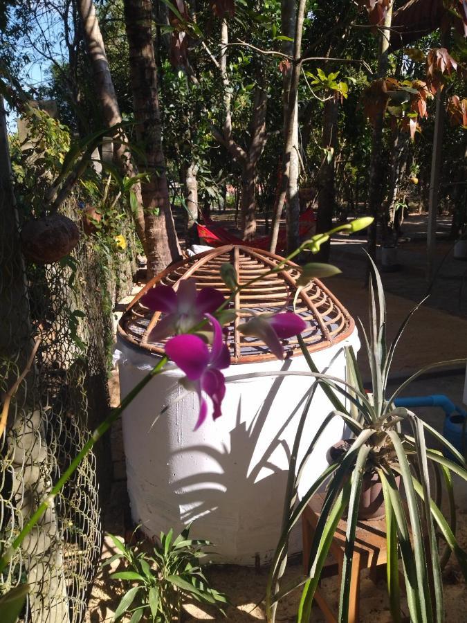 La Maison Des Bambous Siem Reap Eksteriør billede