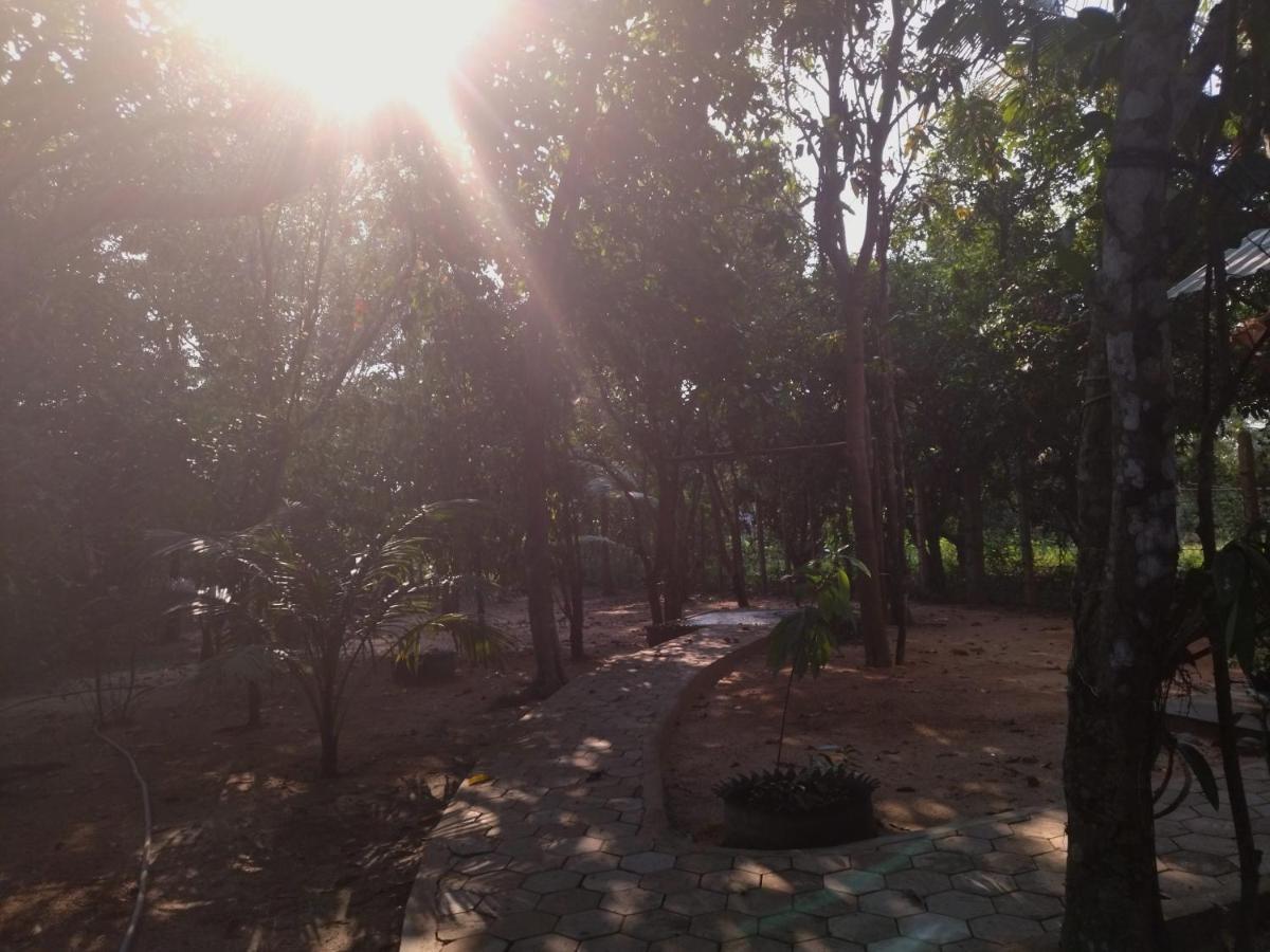 La Maison Des Bambous Siem Reap Eksteriør billede
