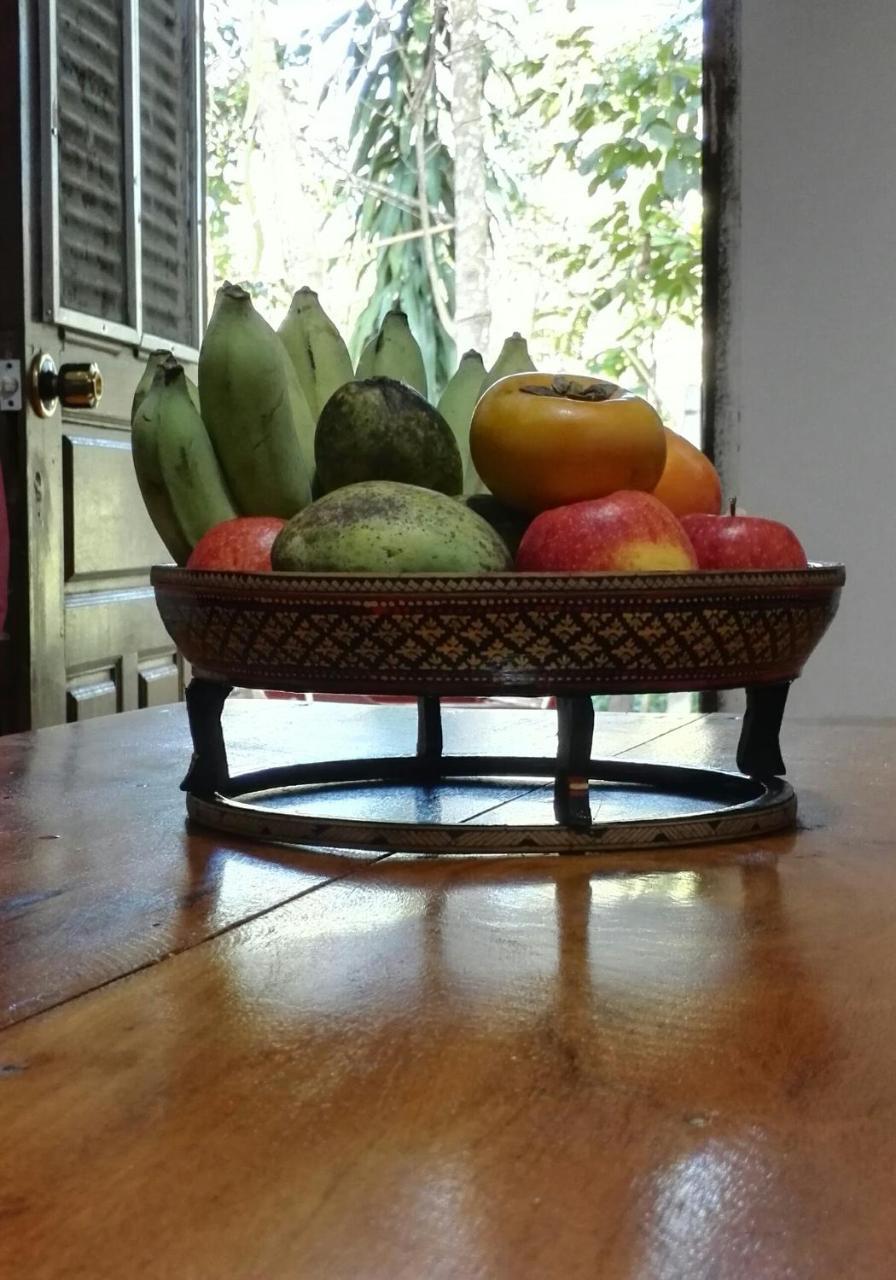 La Maison Des Bambous Siem Reap Eksteriør billede