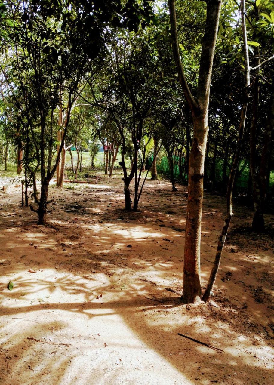 La Maison Des Bambous Siem Reap Eksteriør billede
