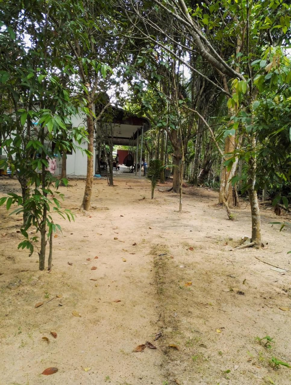 La Maison Des Bambous Siem Reap Eksteriør billede