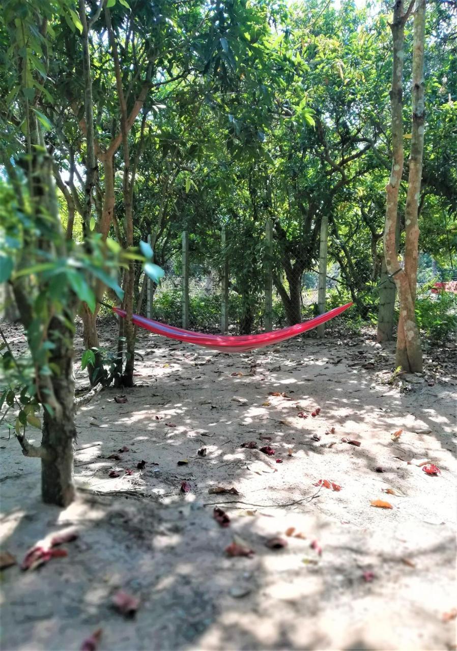 La Maison Des Bambous Siem Reap Eksteriør billede
