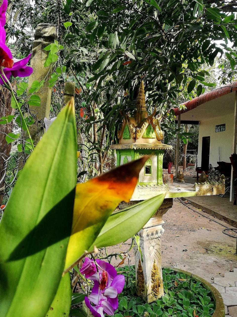 La Maison Des Bambous Siem Reap Eksteriør billede
