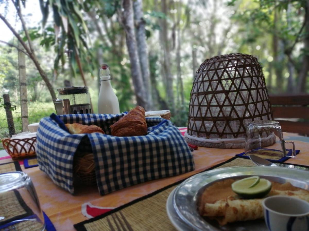 La Maison Des Bambous Siem Reap Eksteriør billede