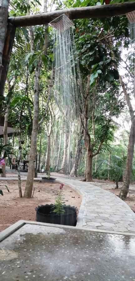 La Maison Des Bambous Siem Reap Eksteriør billede