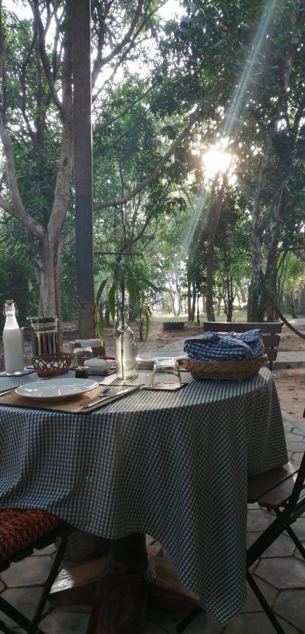 La Maison Des Bambous Siem Reap Eksteriør billede